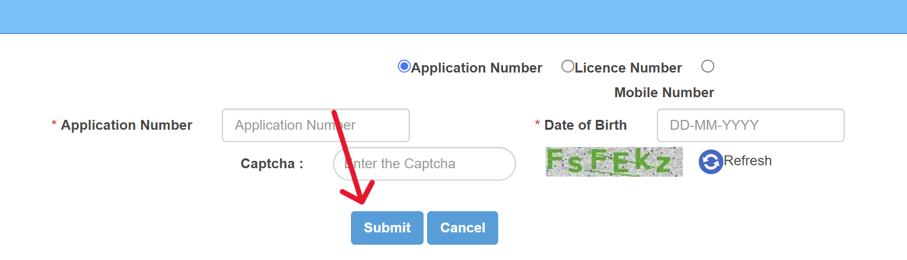 Print Learner Licence